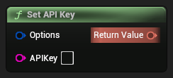 nd_img_ModioCommonTypesLibrary_SetAPIKey.png